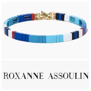Roxanne Assoulin Multicolor Necklace
